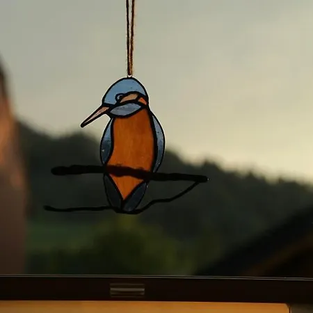 Daire Zimorodek Krościenko