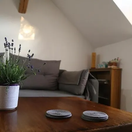 Zimorodek Apartment *