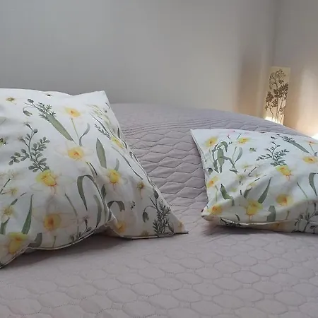 Zimorodek Apartmán Krościenko