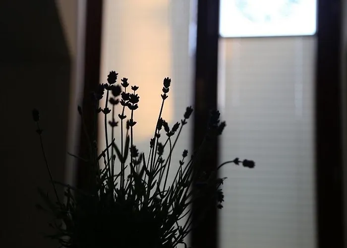 Διαμέρισμα Zimorodek